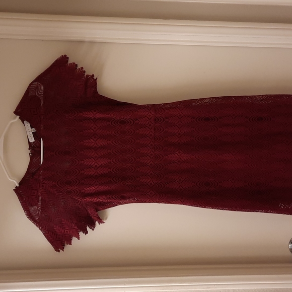 Revolve Endless Rose Ruby Red Lace Dress - Picture 9 of 17